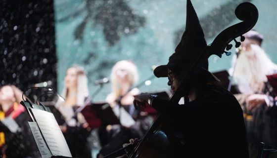 Nella Musica Orchestra. Гарри Поттер и СимфоМультимедия
