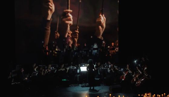 Nella Musica Orchestra. Гарри Поттер и СимфоМультимедия