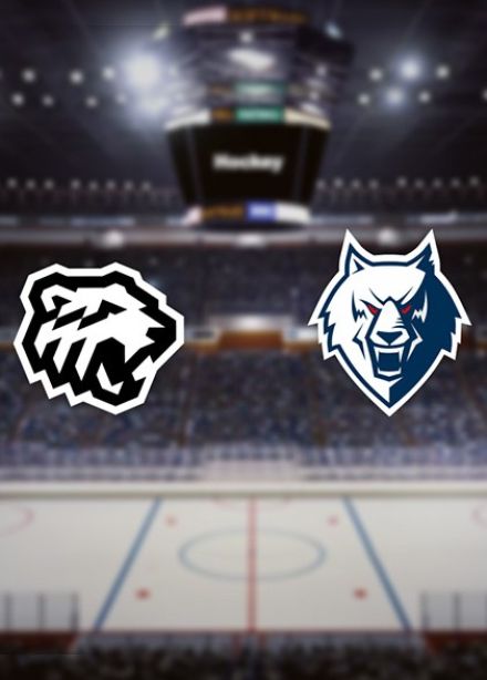 Хоккей. ХК «Трактор» — ХК «Нефтехимик»