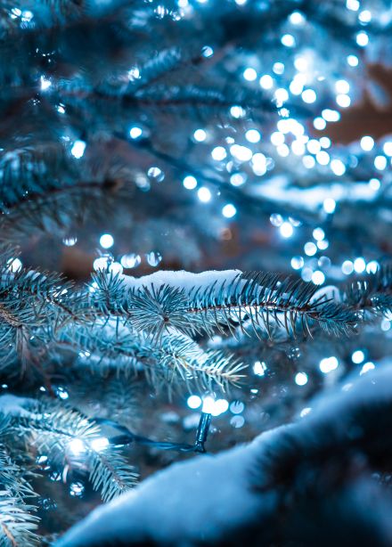 Маленький Дед Мороз