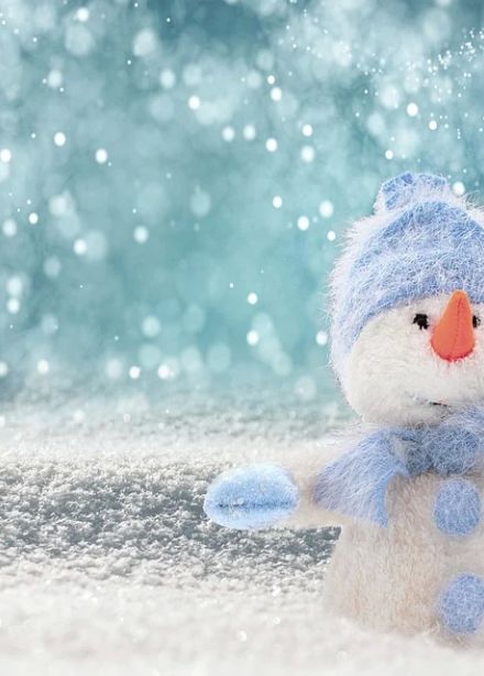 Однажды в Антарктиде