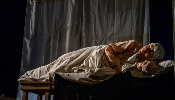 Спектакль «Деревья растут для всех»