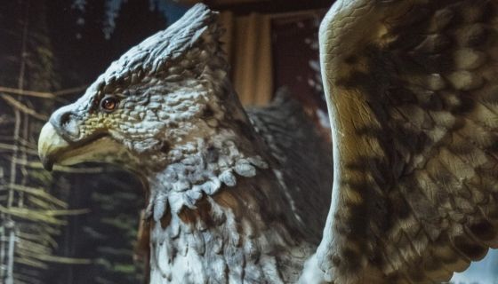 Выставка «Тайны Хогвартс»