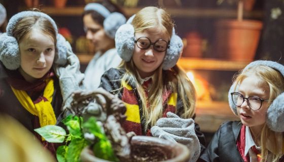 Выставка «Тайны Хогвартс»