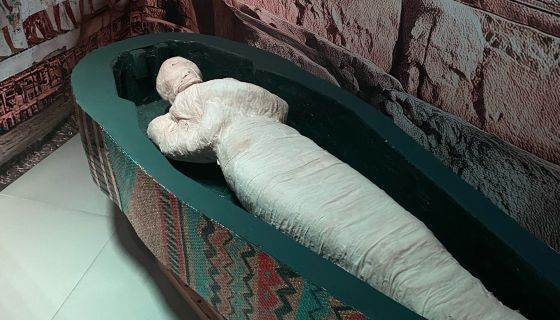 Выставка «Древний Египет»