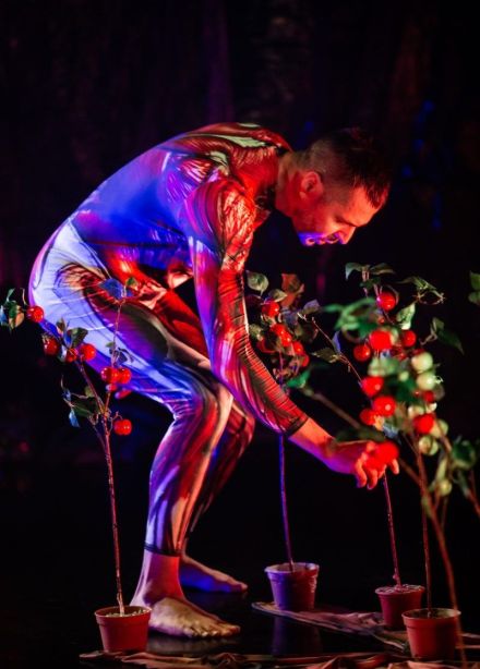 Перформансы «Яблоня на Марсе» и «Иррациональный»