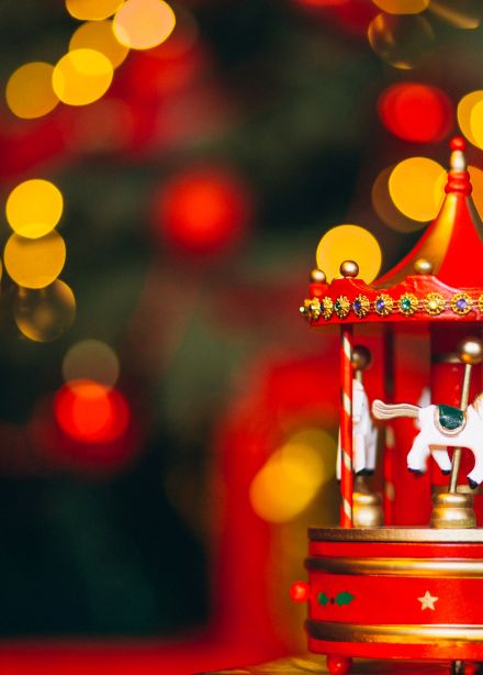 Удивительный новогодний цирк