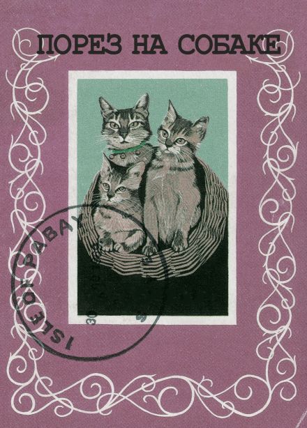 Порез на собаке