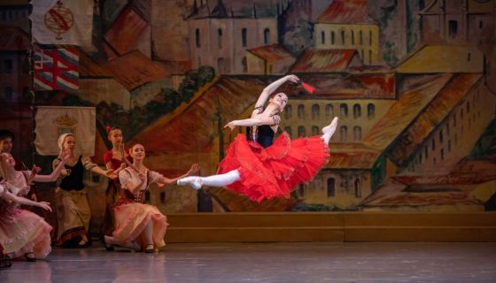 Балет «Дон Кихот»