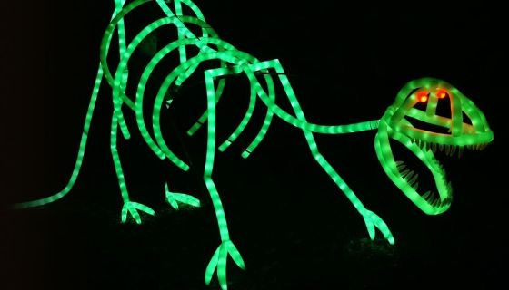 Представление световых кукол. Театр Николая Зыкова (Москва), Касли