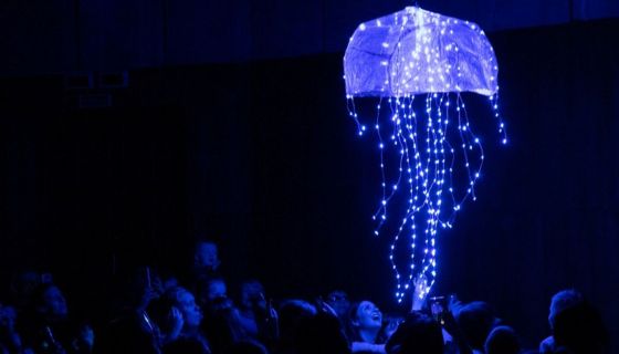 Представление световых кукол. Театр Николая Зыкова (Москва), Касли