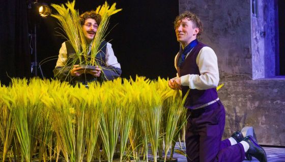 Спектакль «Ревизор. Версия»