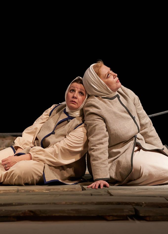 Егорушкины птицы