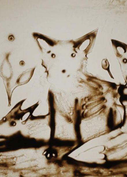 Остроушка. Приключение лисички-плутовки