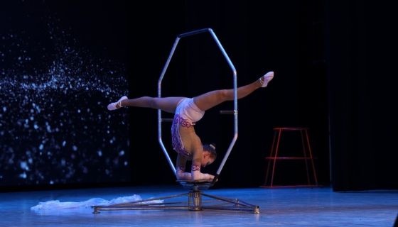 Цирковое шоу «Парадиз», Златоуст