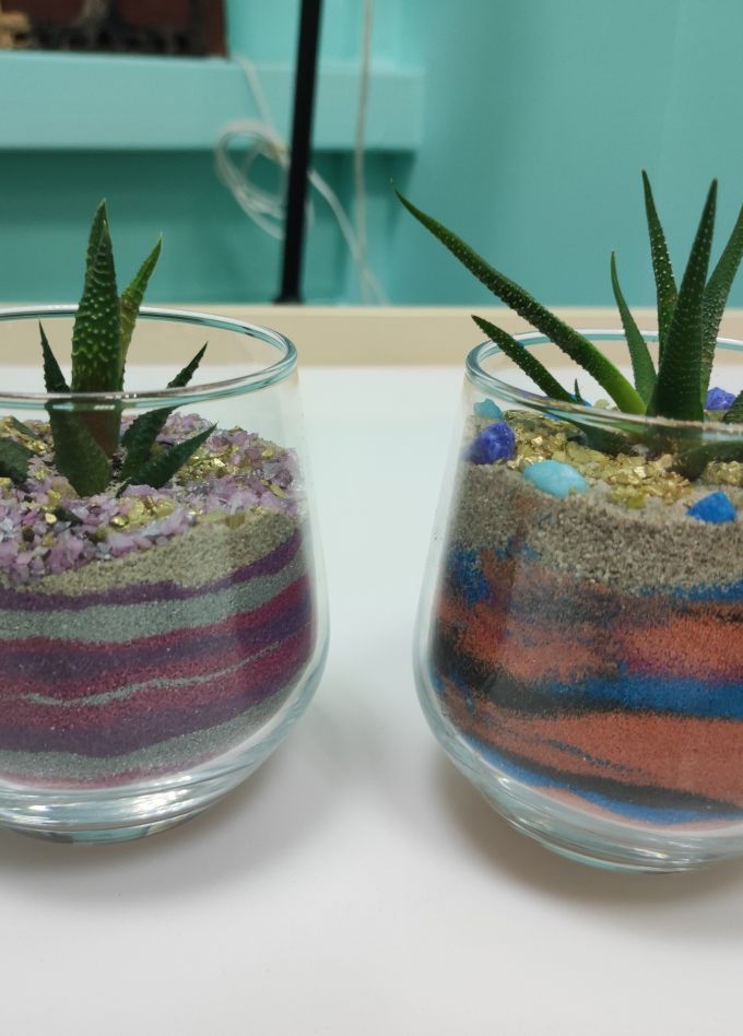 Создание флорариума с Хавортией и песочной церемонией