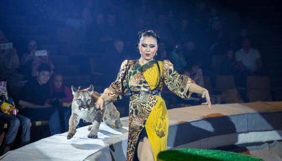 Цирк-шапито «Орион». Шоу «Дикий карнавал»